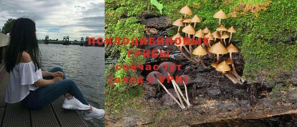гашишное масло Каменск-Шахтинский